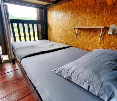 Kuala Tahan Hostel | Wild Lodge Taman Negara