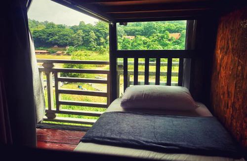 Kuala Tahan Hostel | Wild Lodge Taman Negara