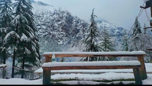 Kasol Other | Wolf Stays