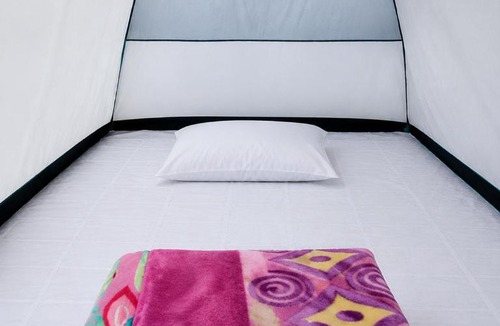 Itanagar Other | Zion Campsite