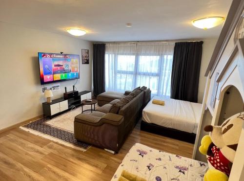 3 KAROKE kids play Big TV&Duplex unit 9 pax