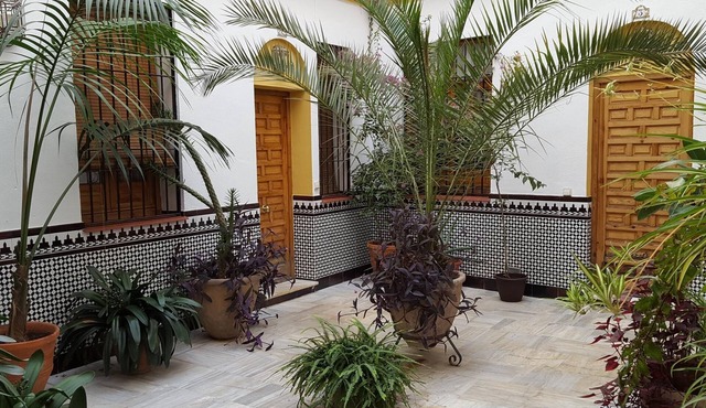 Accommodation in typical house of Cordoba in Córdoba
