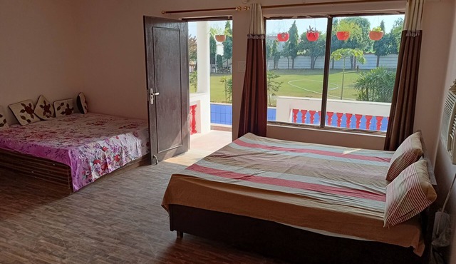 Achal's जंगल में मंगल
