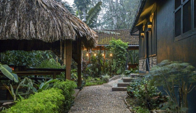 Air-Conditioned Premium Room w/Private Bathroom & Porch - Near Treehouse Bar in San Ignacio