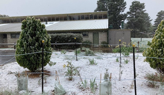 Alpine Activity centre Lodge in Jindbyne sleeps up 90 people in shared facitlies in Jindabyne