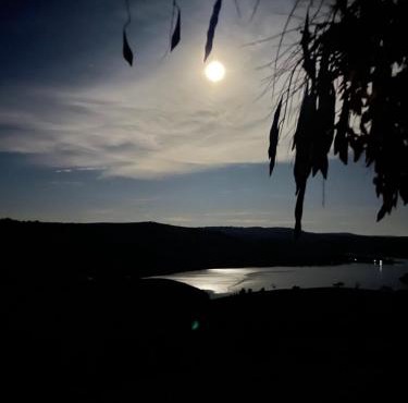 Amazing Views Pet Friendly Bed and Breakfast