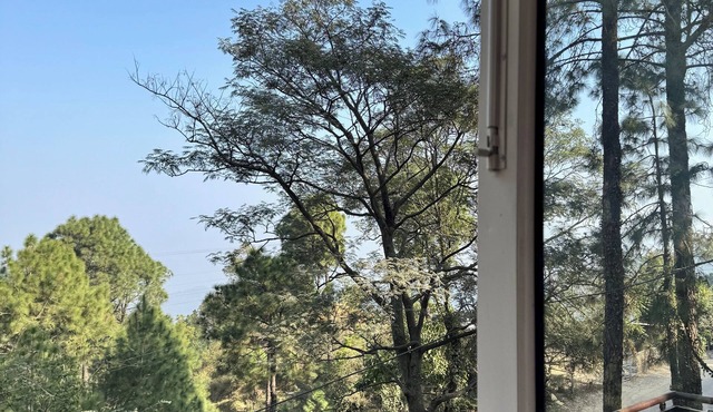 Amritara Kasauli kollections