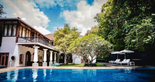Birdsong,Goa