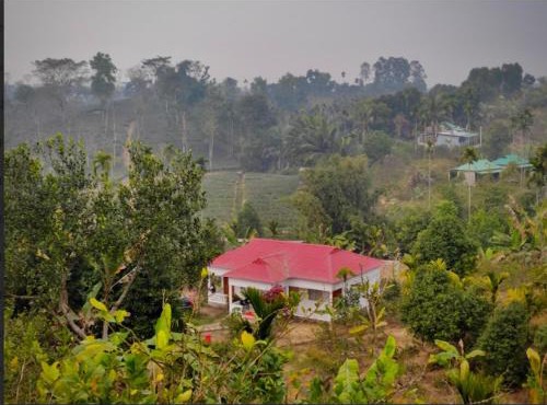 Bonsai Eco Village