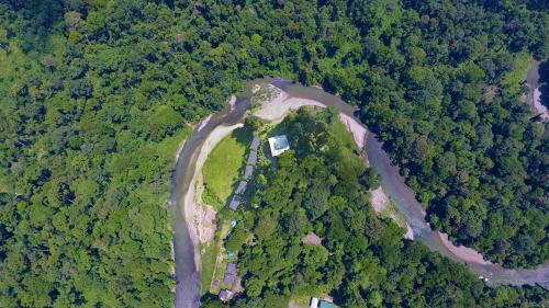 Borneo Rainforest Lodge, Danum Valley