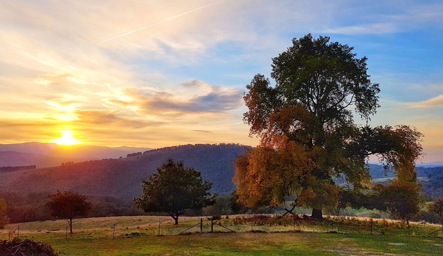 Brindabella Farmstay