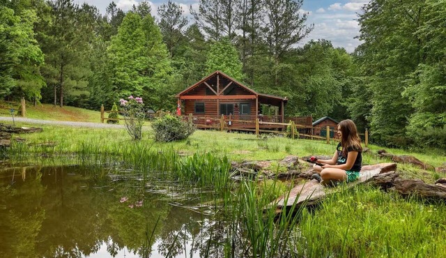 Cabin Blue Ridge-Murphy area, fast wifi, dog & family friendly, trail & hot tub! in Murphy