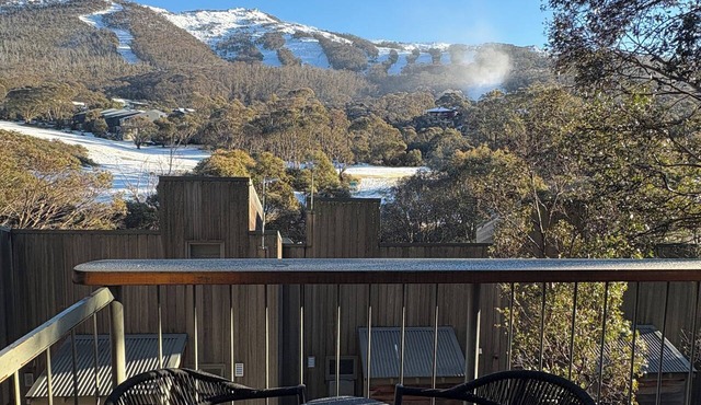 cabin21 riverside - mountain chalet accommodation in Thredbo village