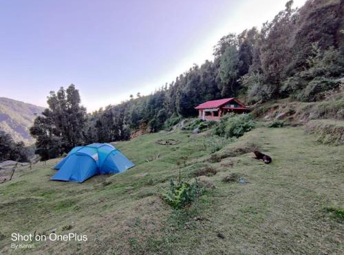 Cafe Himalayan Musaafir & Campsite Kareri