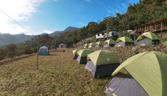 Camp Hornbill By GRB