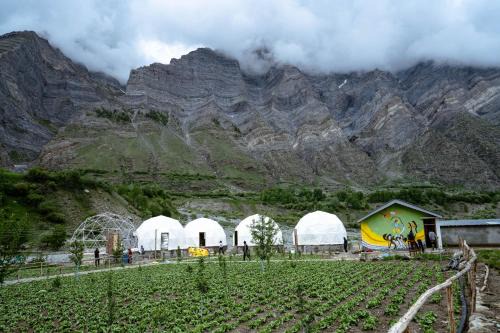Camp The Sanga Manali