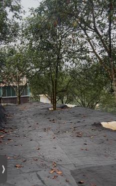 Camping ground at Maju farm house