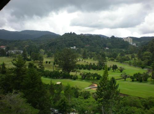 CH Green Stay Resort Apartment