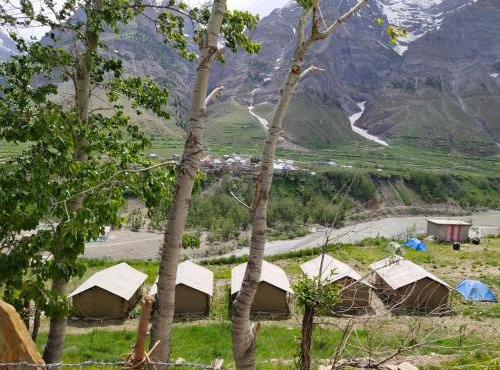 Chandra Bhaga camps