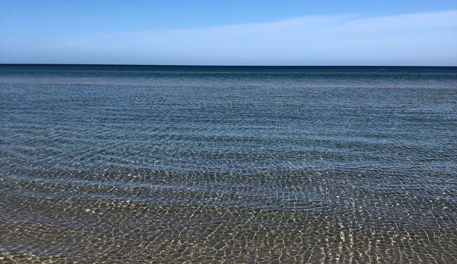 Charming Beachside studio - 2 min to the beach , pets welcome .