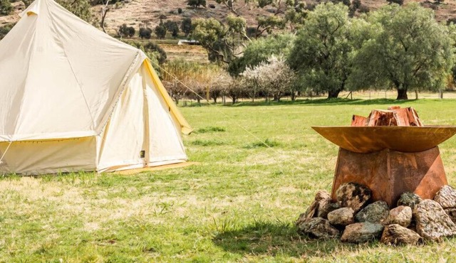 Cherry Blossom Glamping Tent at La Paloma Farm