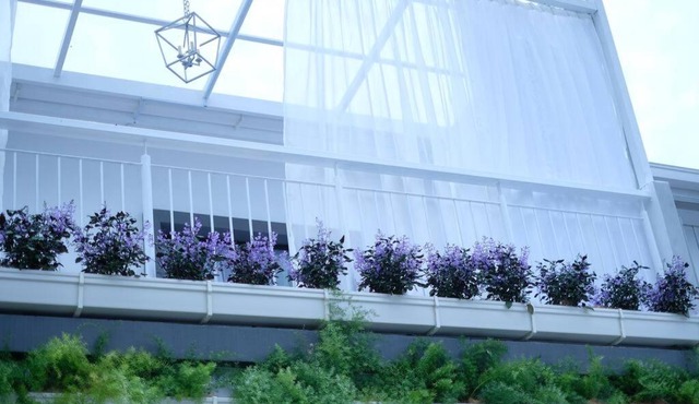 Comfy Sofy 23- Balcony Garden (Night market)
