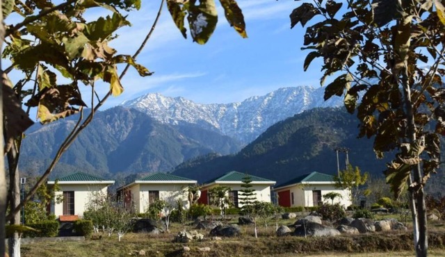 Dhauladhar View Village Resort