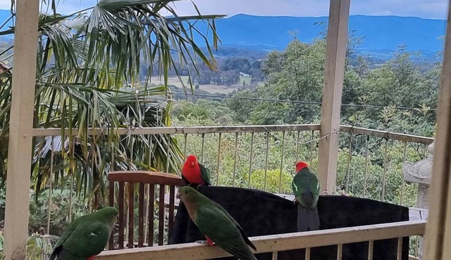 Emerald Kookaburra Hideaway in Emerald
