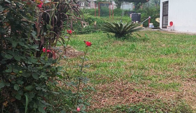 Enchanting 2-bedroom homestay nearby Palampur city in Dhauladhar mountains.