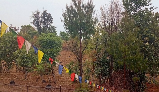 Enjoyable campground retreat in Thapathali perfect for nature lovers in Thapathali
