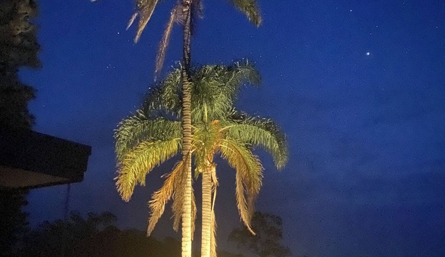 Forster Escape- Mins from pristine beaches
