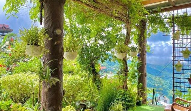 Giftland Homestay