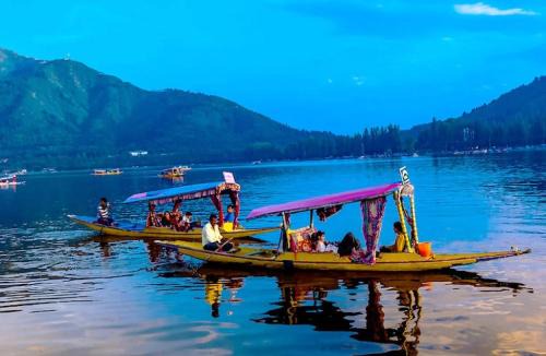 Group Of Houseboat Lauren, Dal lake