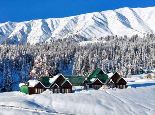 Gulmarg Woods By Stay Pattern