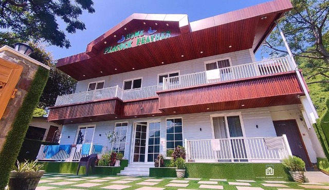 H3-Peacock Feather (Hotel Near Sahastradhara)