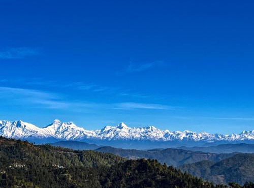 HIMALAYANBLUES COTTAGES&STAYS