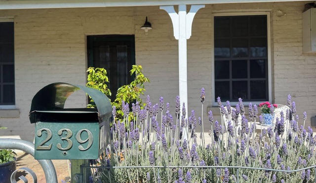 Historic charm meets modern amenities - stroll to everything Yass has to offer.