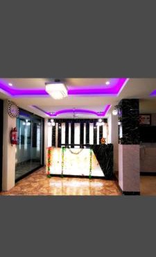 Hotel Blue Bird Nest
