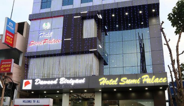 Hotel Sumi Palace