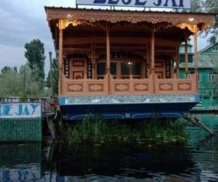 Houseboat New Blue Jay