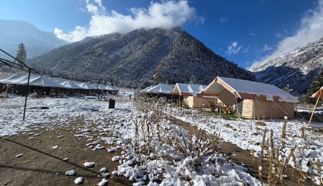 Ibex Camps