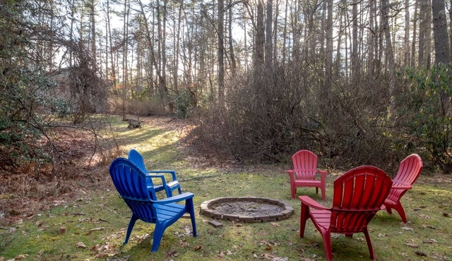 Idle Hour minutes to Dupont State Forest or Pretty Place in Cedar Mountain