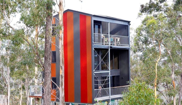 Impressive Gold Coast Tree House Ideal for Unique Queensland Holidays