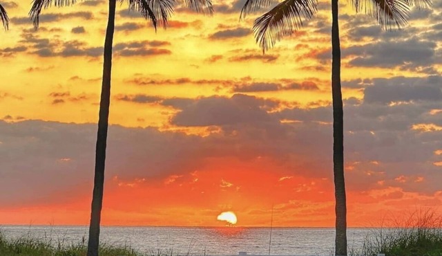 Jan. Available to Enjoy the Beach, Sunshine and Warm Weather! in Pompano Beach