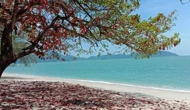 Kamila Teluk Senangin