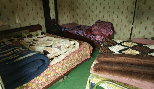 Lord Shiva Camps