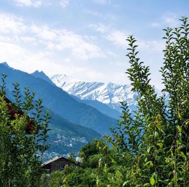 Meltwood Stays Manali
