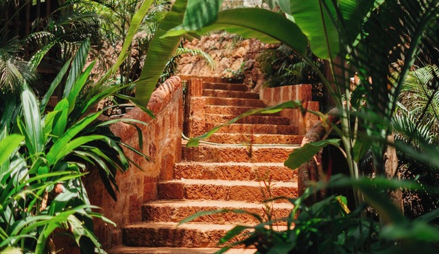 Mojigao Eco Resort