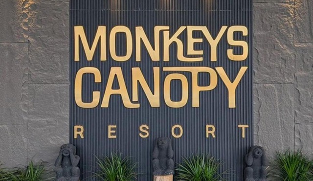 Monkeys Canopy Resort