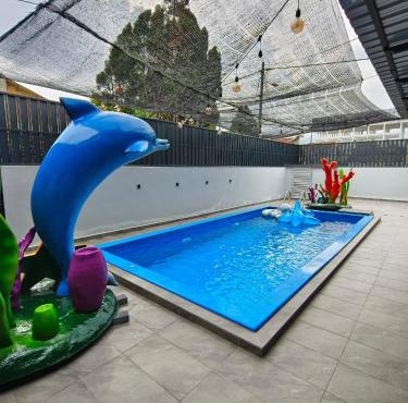 Ocean Private Pool Homestay Ipoh 海洋风情泳池民宿 14px（Wellsonhome）